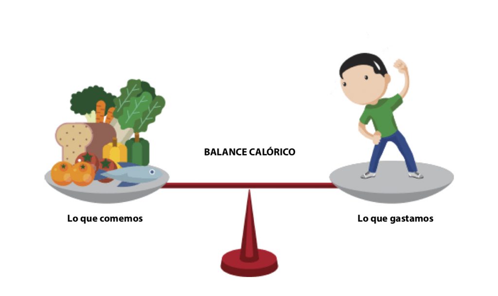 balance calorico animae